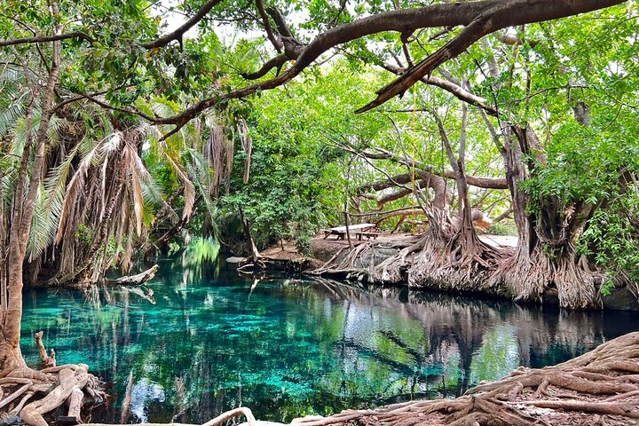 Kikuletwa Hot Springs with Ark Adventures